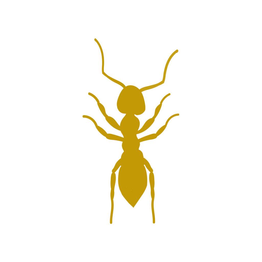Ant-01-Artboard-1
