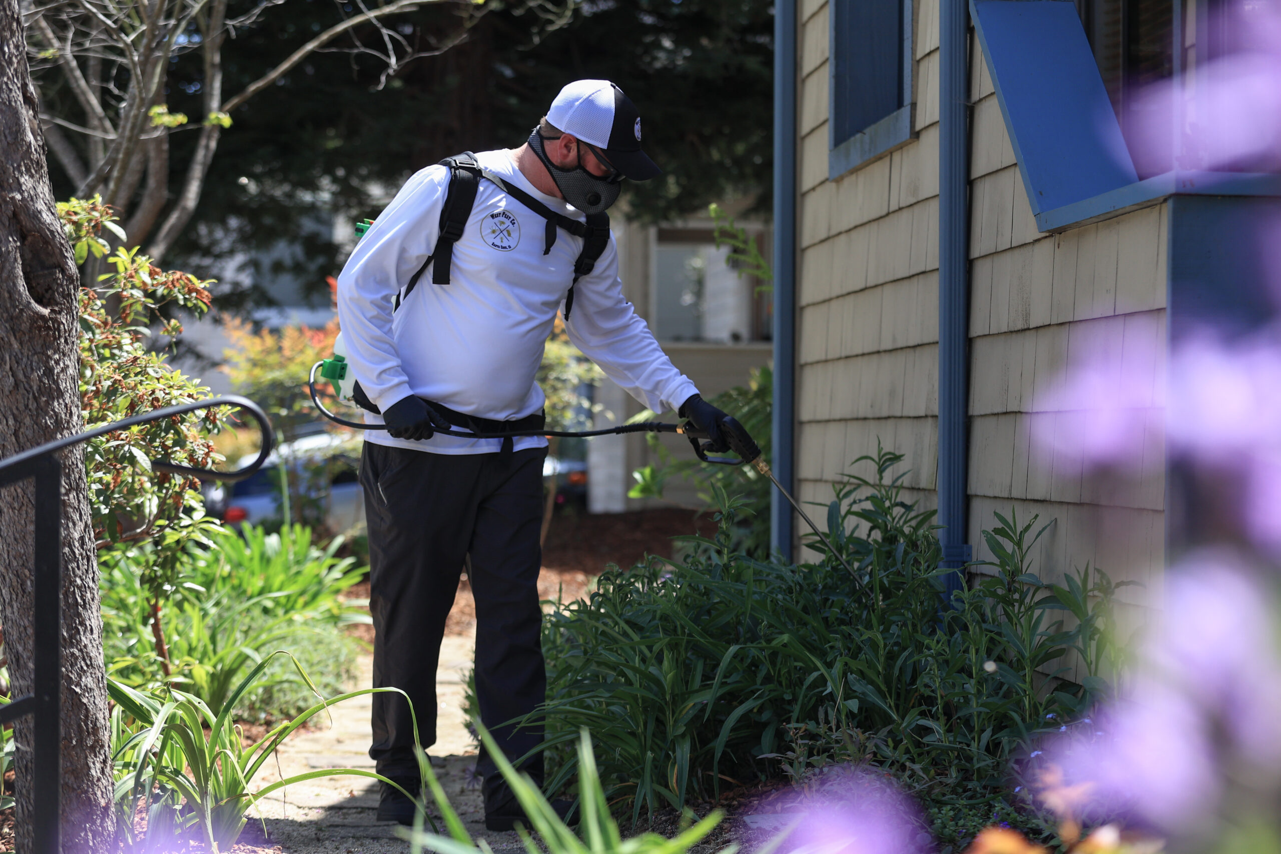 Matthew West, owner of West Pest Co., Santa Cruz pest control
