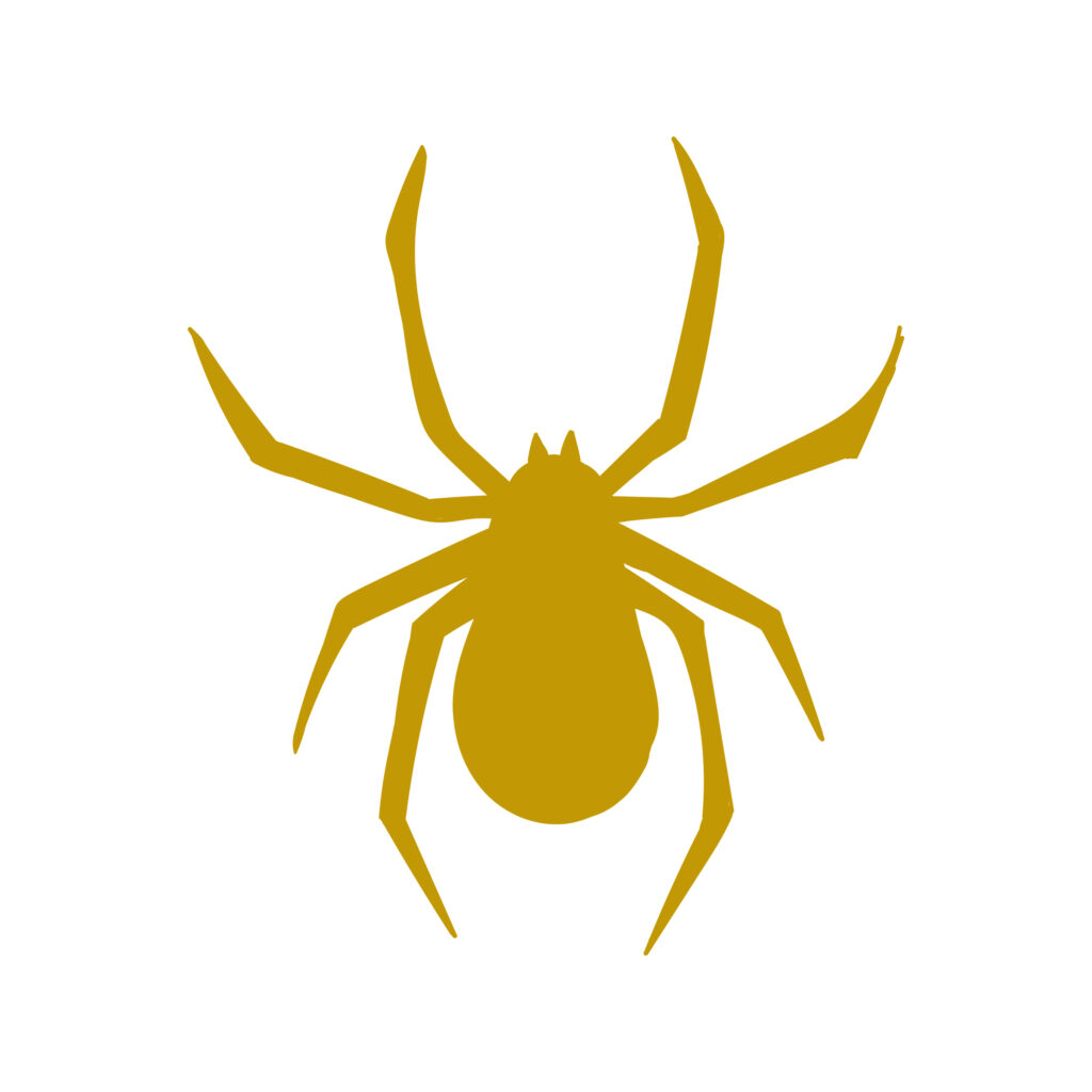 Spider-01-Artboard-1