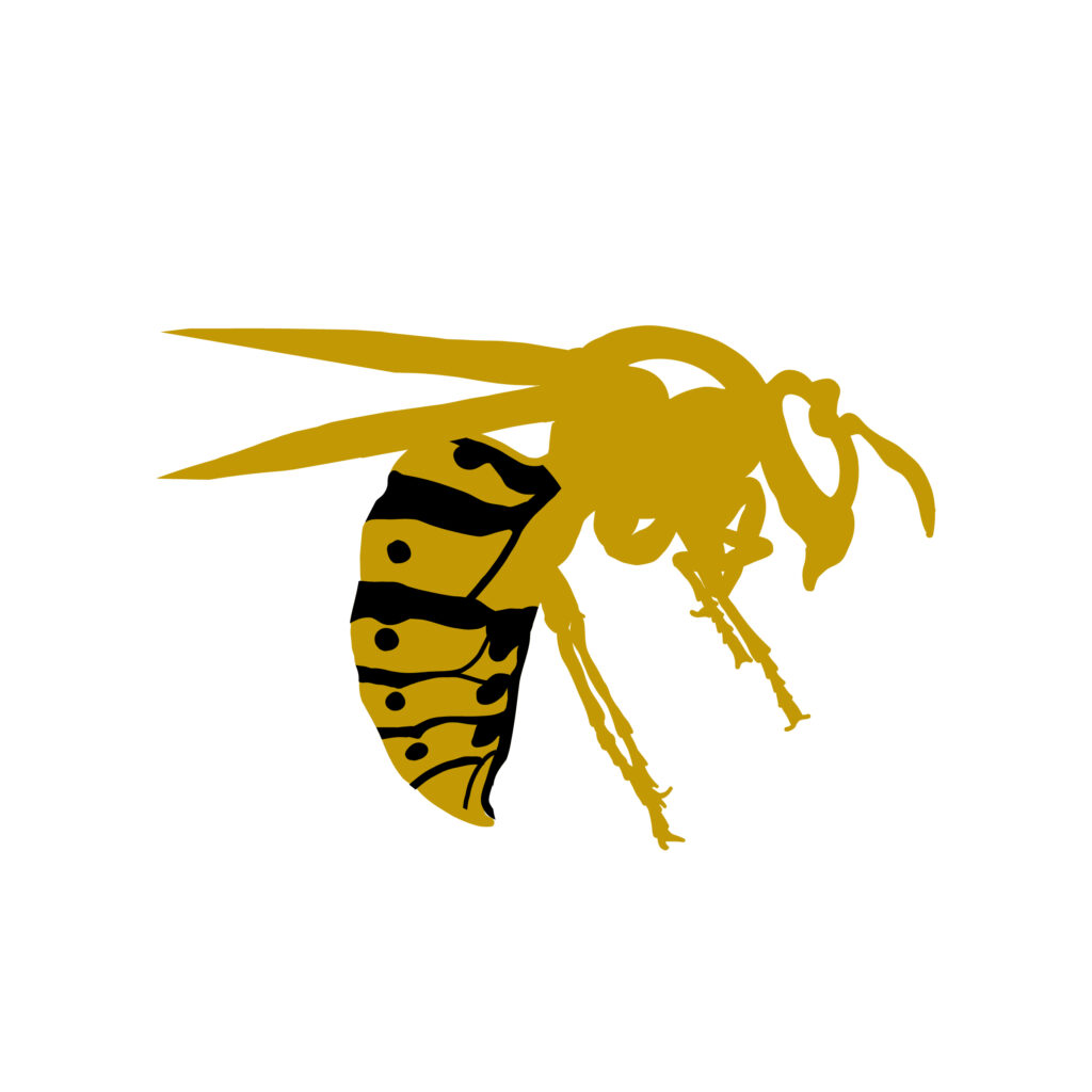 Wasp-01-Artboard-1