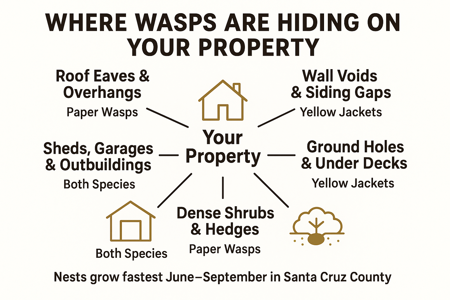 Where Wasps Are Most Likely Hiding on Your Property Right Now