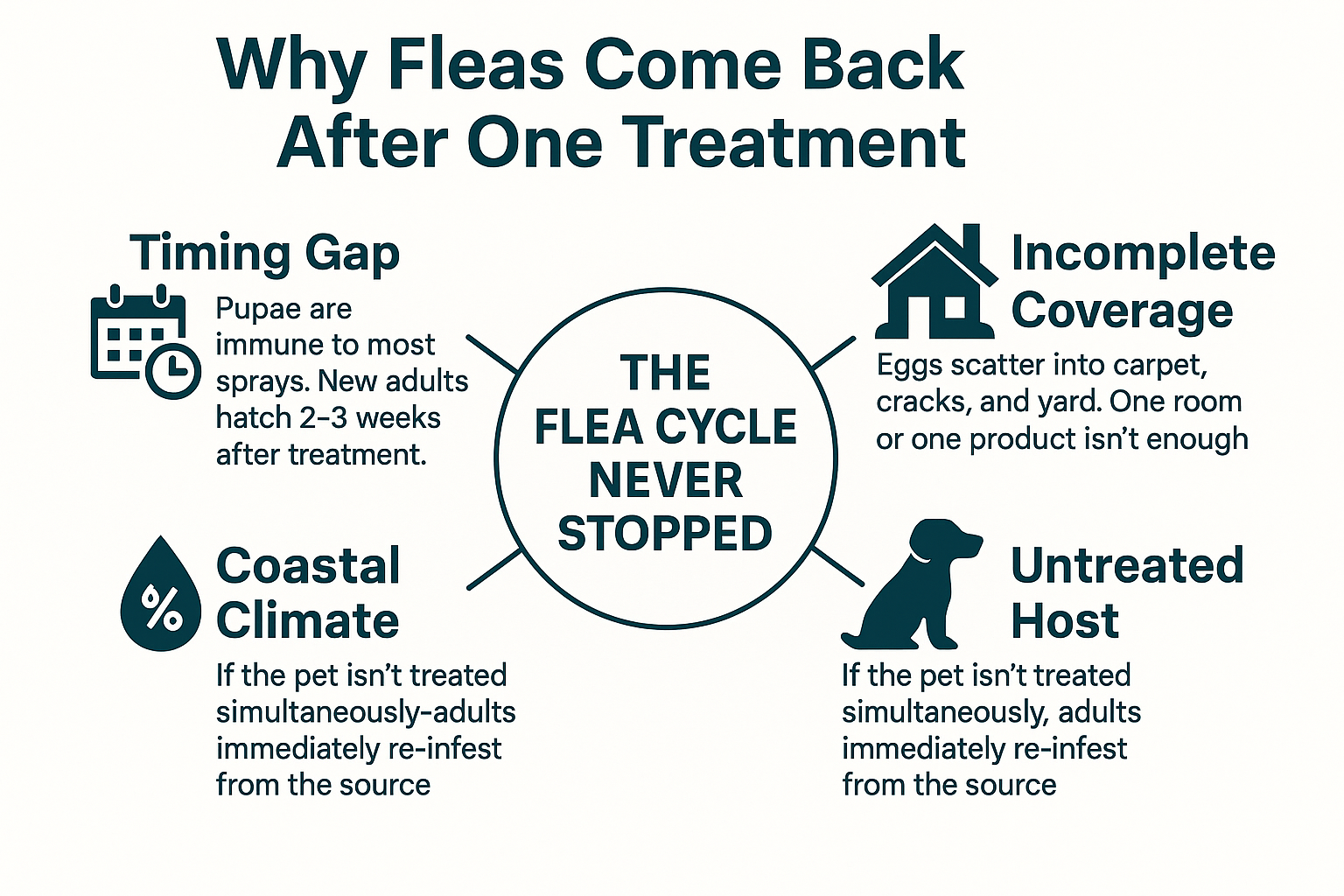 Why One Flea Treatment Often Isn't Enough to Break the Cycle