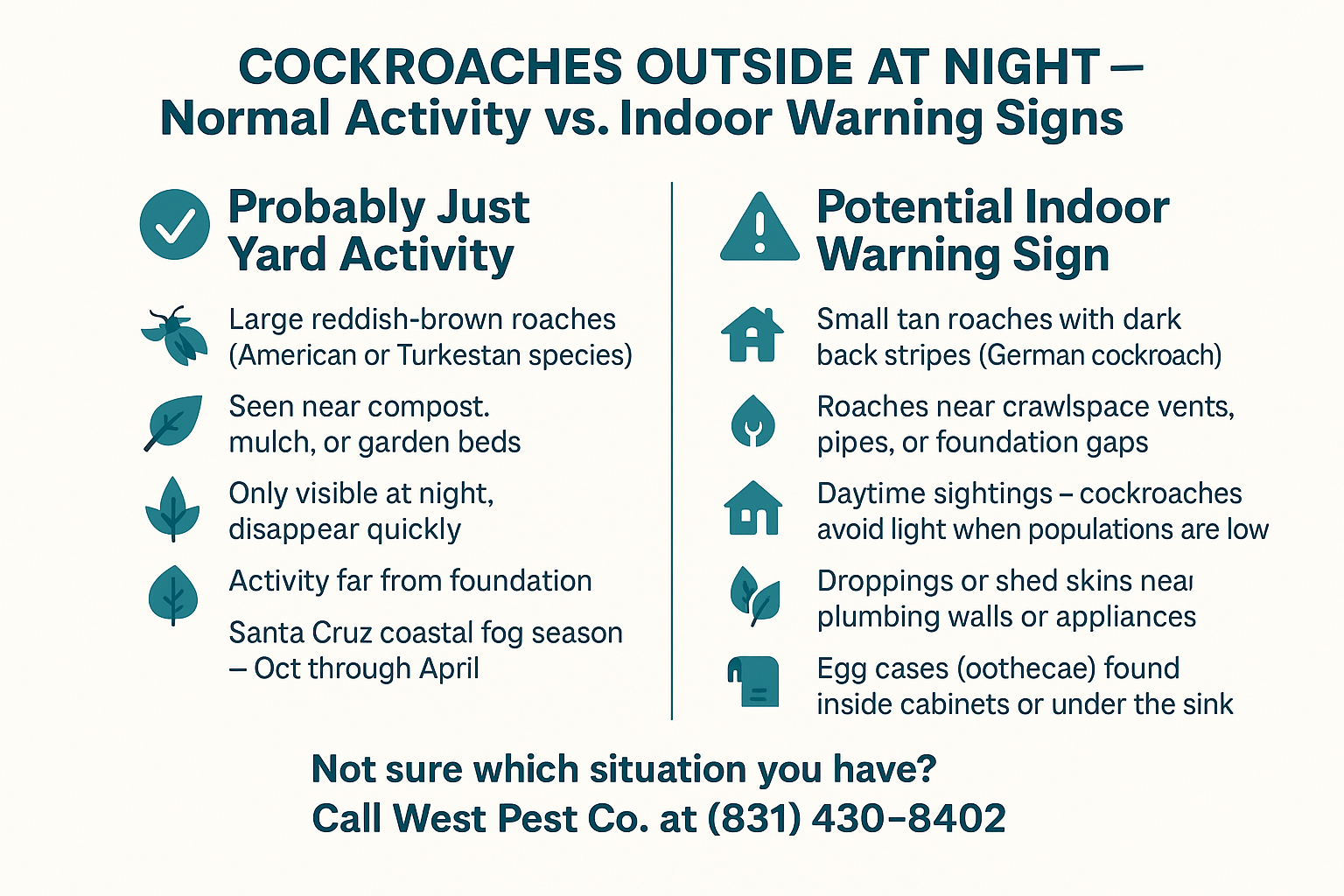 Cockroaches Outside at Night: When It's Normal and When It's a Warning